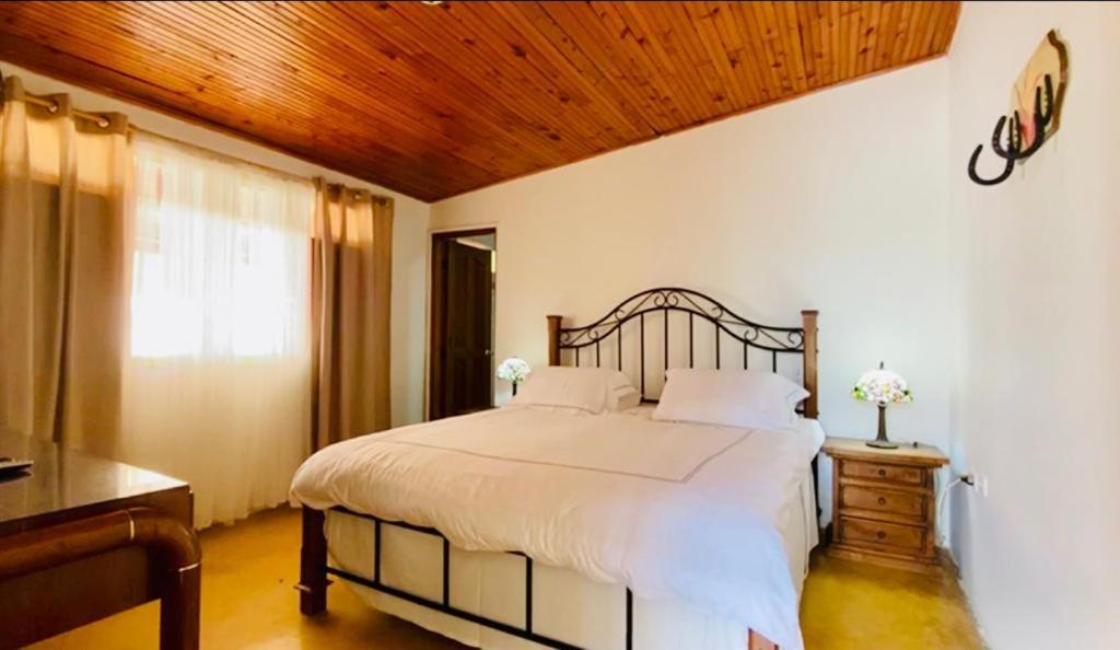 Finca Hotel El Laurel - Parque Del Cafe Montenegro Kültér fotó